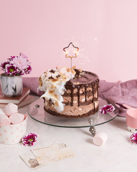 Dark Chocolate Toasted Marshmallow Cake